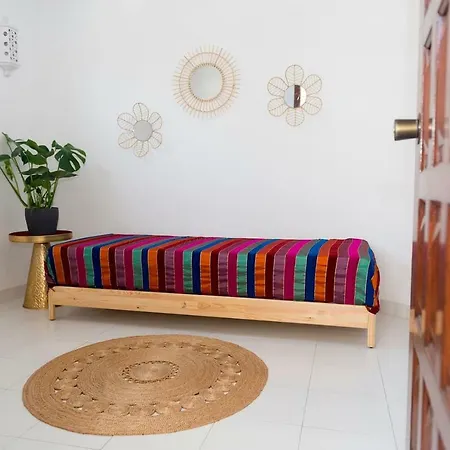 Casa Olga Vieira アパート